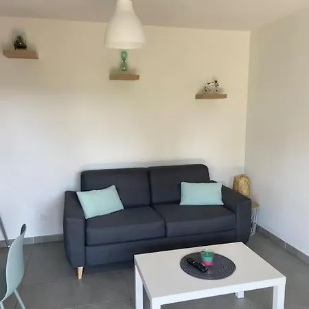 Superbe T2 Tout Equipe A 100m De La Plage Appartement *
